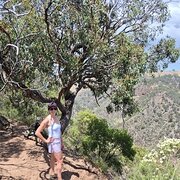 House Sitter - Considerate & Reliable