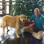 House Sitter - Dennis & Shamini