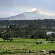 Home Owner wanting sitter in , Queensland