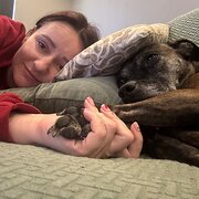 House Sitter - 34 year old female 