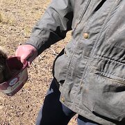 Home Owner wanting sitter in Dalby, Queensland