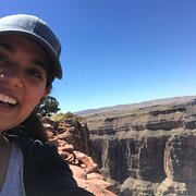 House Sitter - Reliable and caring house and pet sitter