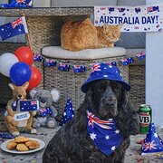 Home Owner wanting sitter in , Queensland