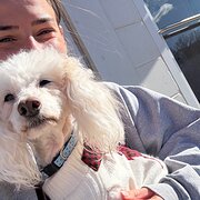 House Sitter - Experienced Animal Lovers