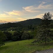 Home Owner wanting sitter in Mackay, Queensland