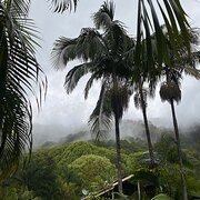 Home Owner wanting sitter in , New South Wales