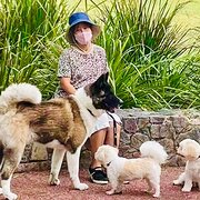 Home Owner wanting sitter in , Queensland