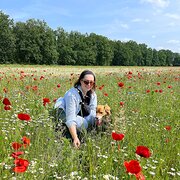 House Sitter - Animal loving, reliable and clean? - ME 