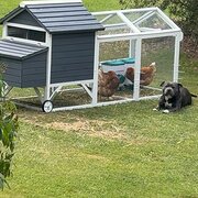 Home Owner wanting sitter in , Victoria