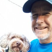 House Sitter - Reliable experienced house & pet sitter