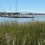 Home Owner wanting sitter in Adelaide, South Australia