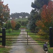 Home Owner wanting sitter in Hahndorf , South Australia