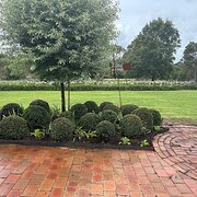 Home Owner wanting sitter in Sydney, New South Wales