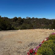 Home Owner wanting sitter in Adelaide, South Australia