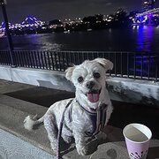 Home Owner wanting sitter in , Queensland