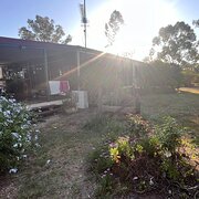 Home Owner wanting sitter in Chinchilla, Queensland