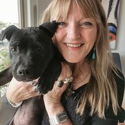 House Sitter - South Australia - Fleurieu only