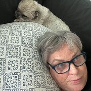 House Sitter - Cath - reliable and competent 