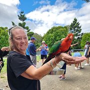 House Sitter - Great Gardner / loves animals 