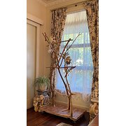 Home Owner wanting sitter in Perth, Western Australia