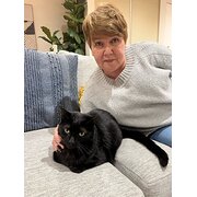 House Sitter - Cat lady 