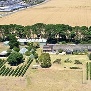 Home Owner wanting sitter in Geelong, Victoria