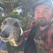 House Sitter - Canberra local