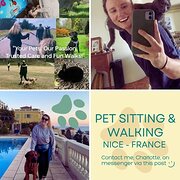 House Sitter - C&J - The Perfect Pet Sitters!