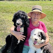 Home Owner wanting sitter in , Queensland