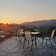 Home Owner wanting sitter in Melbourne, Victoria