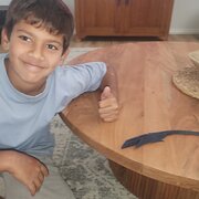 House Sitter - Off To Timbuktu!