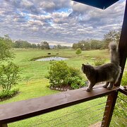 Home Owner wanting sitter in , New South Wales