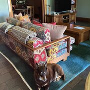 Home Owner wanting sitter in Black Forest, South Australia