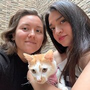 House Sitter - The most loving sitters