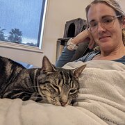 House Sitter - Reliable single house sitter