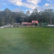 Home Owner wanting sitter in Ulverstone, Tasmania