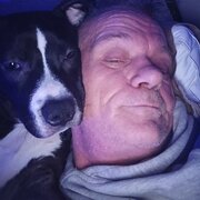 Home Owner wanting sitter in , Victoria