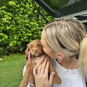 House Sitter - Registered nurse who loves animals 