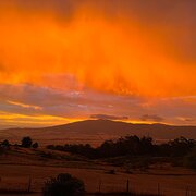 Home Owner wanting sitter in Ballarat, Victoria