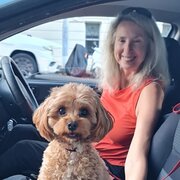 House Sitter - Experienced, trustworthy and caring