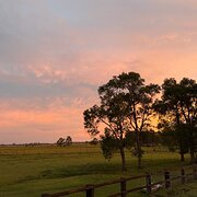 Home Owner wanting sitter in , New South Wales