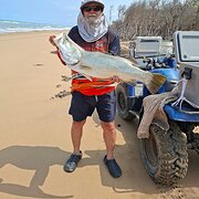 Home Owner wanting sitter in Townsville , Queensland