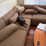 Home Owner wanting sitter in , New South Wales