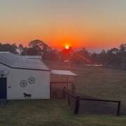 Home Owner wanting sitter in Newcastle , New South Wales