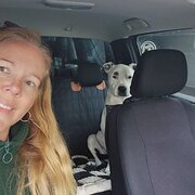 House Sitter - Susan, quiet responsible honest female