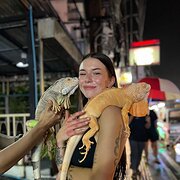 House Sitter - Madison