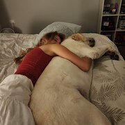 House Sitter - Female PET SITTER! gold coast & brisbane