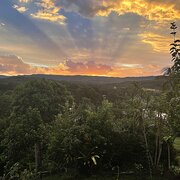 Home Owner wanting sitter in Maroochydore , Queensland