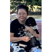 Home Owner wanting sitter in Hervey Bay, Queensland