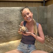 House Sitter - The travelling pet and house sitter